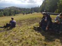 zloty lisc 2018 (30)